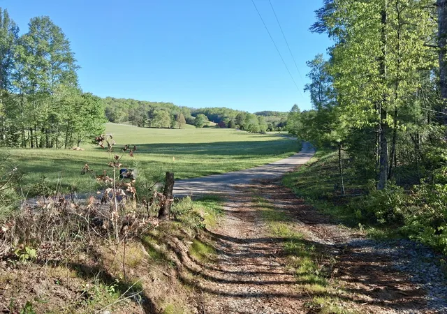 Homes for sale in Tellico Plains, TN | 233 Finger Board Rd, Tellico Plains, TN 37385 | MLS# 1534012