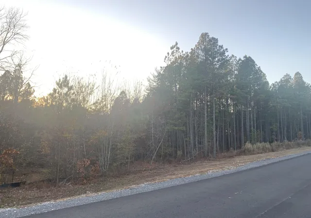 3rd image of 940 Crockett Pt #Jf-567, Jasper, TN 37347 | MLS# 1534916