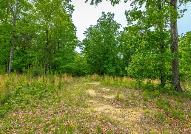 Homes for sale in Jasper, TN | 0 Moonlight Ln #Jf444, Jasper, TN 37347 | MLS# 1534192