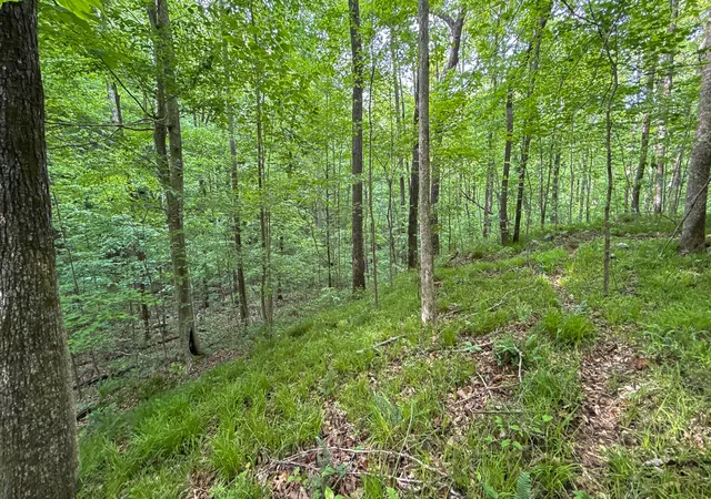 Land for sale at 00 Murphy Holw, Trenton, GA 30752 | MLS# 1534078