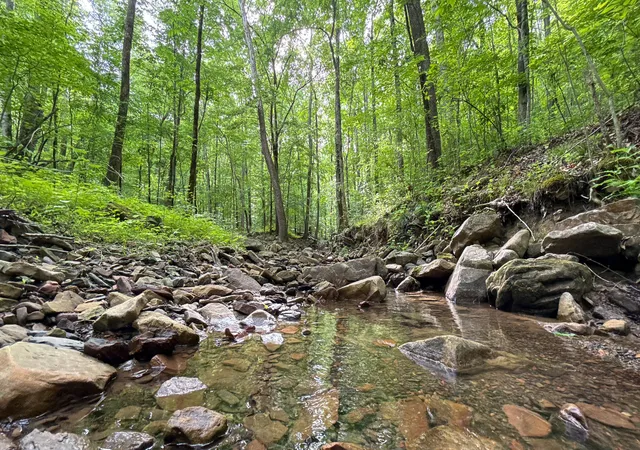 Photo 1 of Land for sale at 00 Murphy Holw, Trenton, GA 30752 | MLS# 1534078 | Listing updated on 2026-05-05