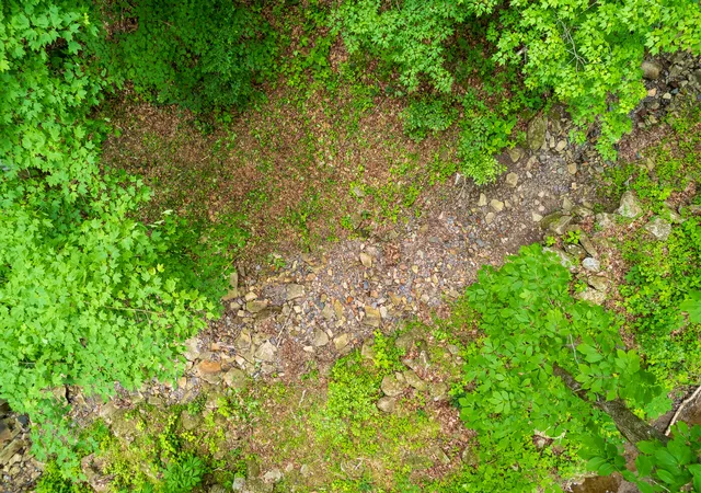 Photo 2 of Land for sale at 00 Murphy Holw, Trenton, GA 30752 | MLS# 1534078 | Listing updated on 2026-05-05