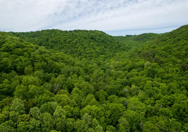 Photo 4 of Land for sale at 00 Murphy Holw, Trenton, GA 30752 | MLS# 1534078 | Listing updated on 2026-05-05