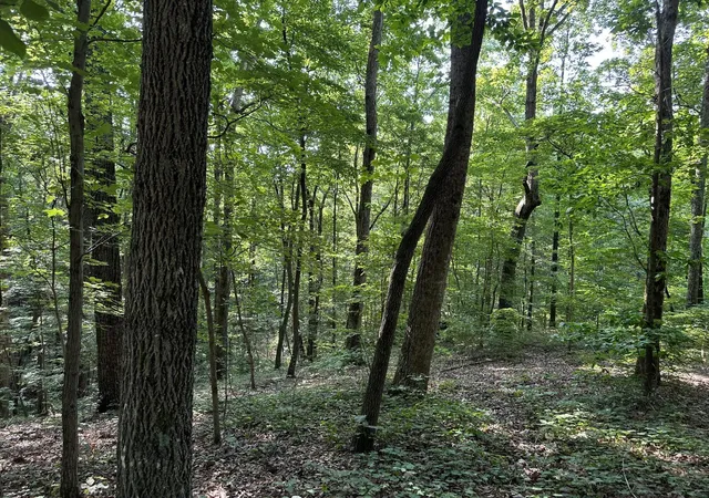 Photo 4 of Land for sale at 3692 Pan Gap Cir, Chattanooga, TN 37419 | MLS# 1534082 | Listing updated on 2026-05-05