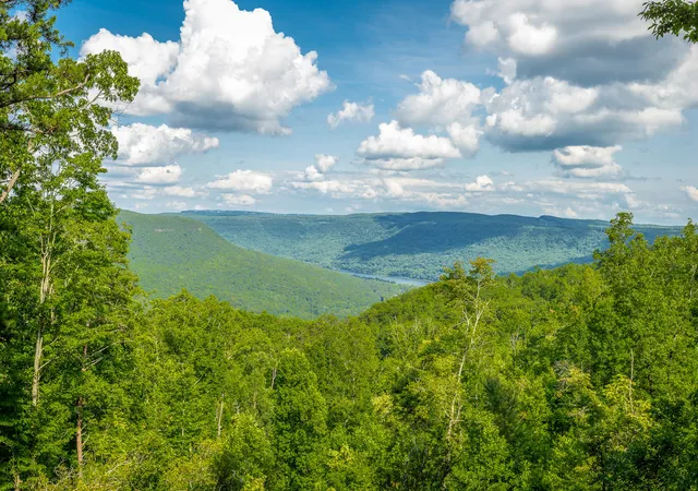 Homes for sale in Guild, TN | 0 Back Basin Trl #Lot 1244, Guild, TN 37340 | MLS# 1537208
