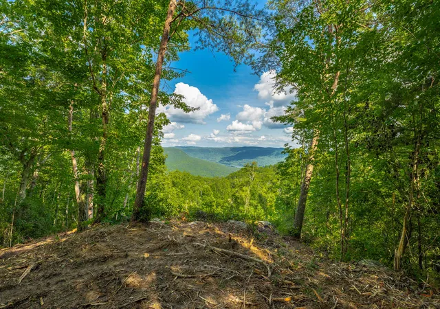 Homes for sale in Guild, TN | 0 Back Basin Trl #Lot 1244, Guild, TN 37340 | MLS# 1537208