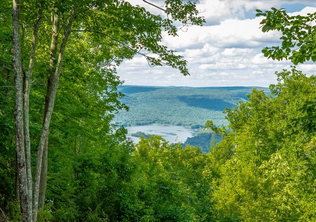 Homes for sale in Guild, TN | 0 Back Basin Trl #Lot 1244, Guild, TN 37340 | MLS# 1537208