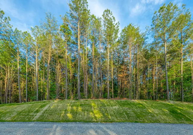 Homes for sale in Guild, TN | 0 Cannon Wy #Lot 1317, Guild, TN 37340 | MLS# 1535038