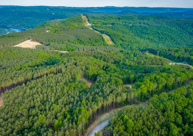 Homes for sale in Guild, TN | 0 Cannon Wy #Lot 1317, Guild, TN 37340 | MLS# 1535038