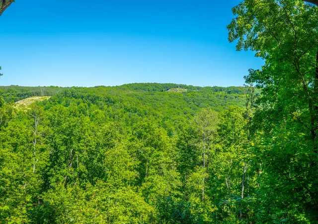 Homes for sale in Guild, TN | 0 Split Rail Wy #1349, Guild, TN 37340 | MLS# 1534998