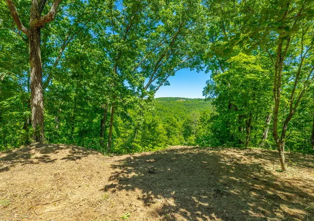 Homes for sale in Guild, TN | 0 Split Rail Wy #1349, Guild, TN 37340 | MLS# 1534998