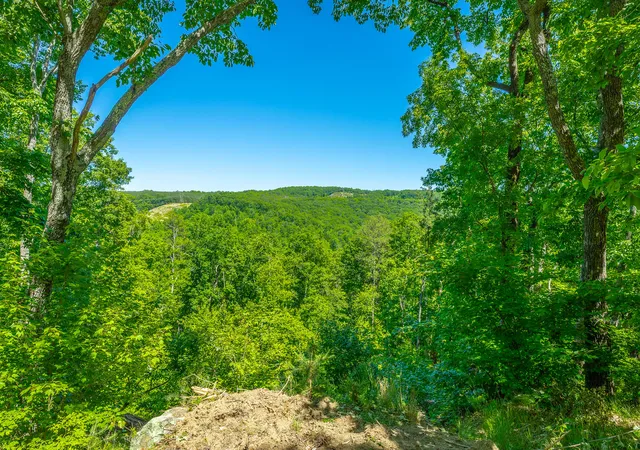 Homes for sale in Guild, TN | 0 Split Rail Wy #1349, Guild, TN 37340 | MLS# 1534998