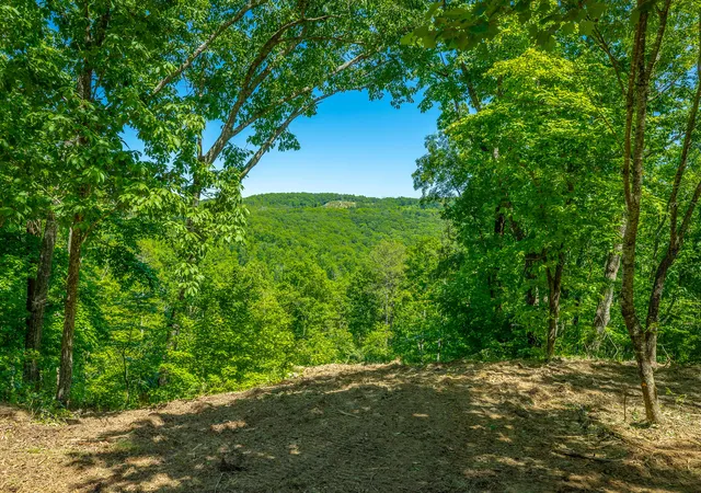 Homes for sale in Guild, TN | 0 Split Rail Wy #1349, Guild, TN 37340 | MLS# 1534998