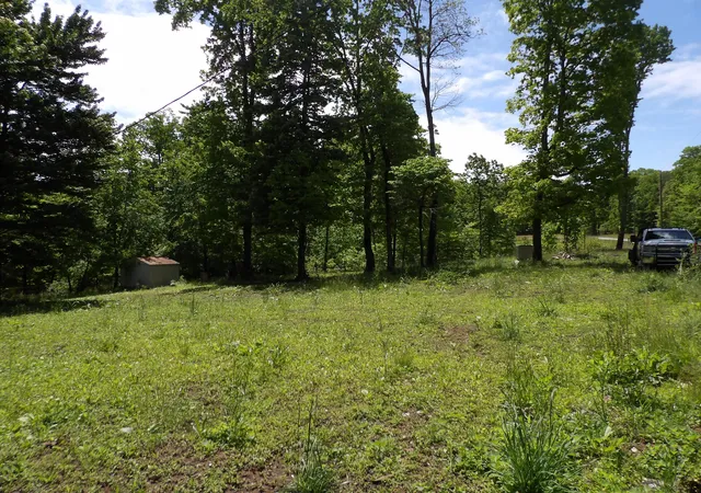 Homes for sale in Spring City, TN | 00 Kerley Rd, Spring City, TN 37381 | MLS# 1534256