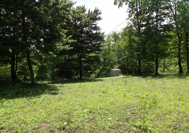 Homes for sale in Spring City, TN | 00 Kerley Rd, Spring City, TN 37381 | MLS# 1534256