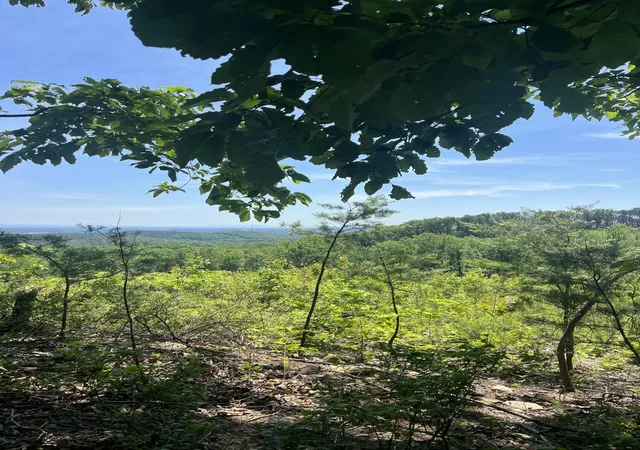 2nd image of 0 N Dug Gap Rd, Dalton, GA 30720 | MLS# 1534469