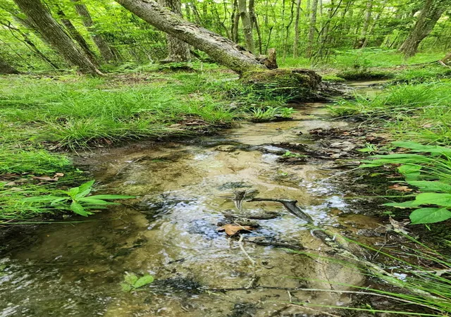 Photo 1 of Land for sale at 0 Windstone Dr, Sequatchie, TN 37374 | MLS# 1534553 | Listing updated on 2026-09-08