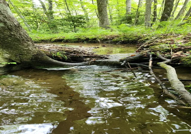 Photo 2 of Land for sale at 0 Windstone Dr, Sequatchie, TN 37374 | MLS# 1534553 | Listing updated on 2026-09-08