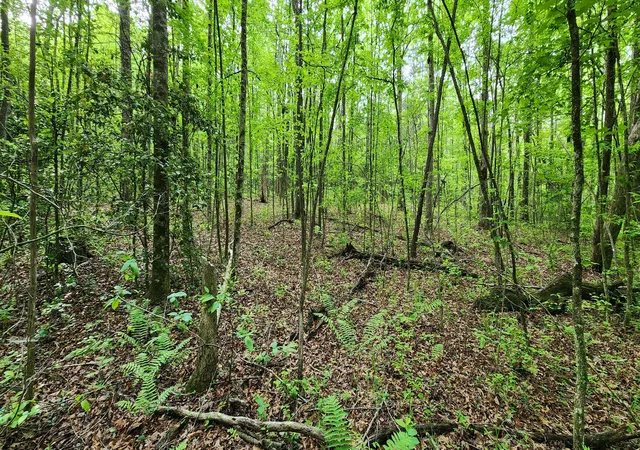 Photo 3 of Land for sale at 0 Windstone Dr, Sequatchie, TN 37374 | MLS# 1534553 | Listing updated on 2026-09-08