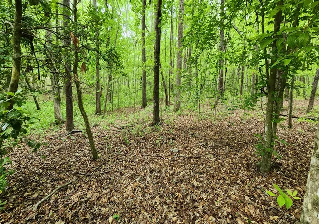 Photo 4 of Land for sale at 0 Windstone Dr, Sequatchie, TN 37374 | MLS# 1534553 | Listing updated on 2026-09-08