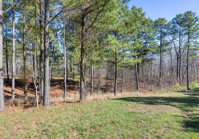 Photo 4 of Land for sale at 0 Prospectors Way #RB222, Jasper, TN 37347 | MLS# 1534608 | Listing updated on 2026-07-23