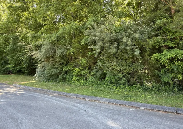 Homes for sale in Decatur, TN | 194 Elm St, Decatur, TN 37322 | MLS# 1534613