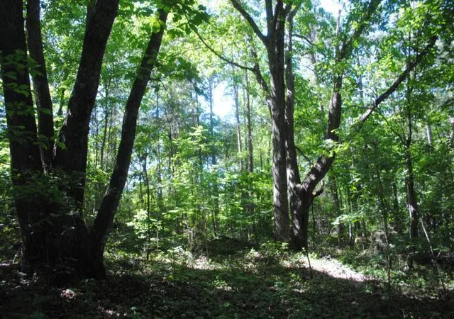 Photo 4 of House for sale at 0 S Marble Top Rd, Chickamauga, GA 30707 | MLS# 1534678 | Listing updated on 2026-09-18
