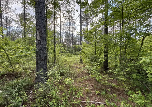 2nd image of 82 Bennie Camp Rd, Dunlap, TN 37327 | MLS# 1534776