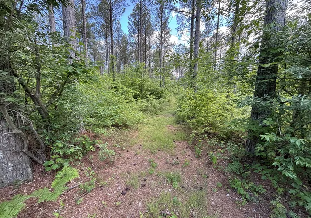 3rd image of 82 Bennie Camp Rd, Dunlap, TN 37327 | MLS# 1534776