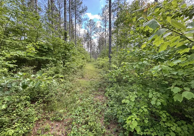 5th image of 82 Bennie Camp Rd, Dunlap, TN 37327 | MLS# 1534776
