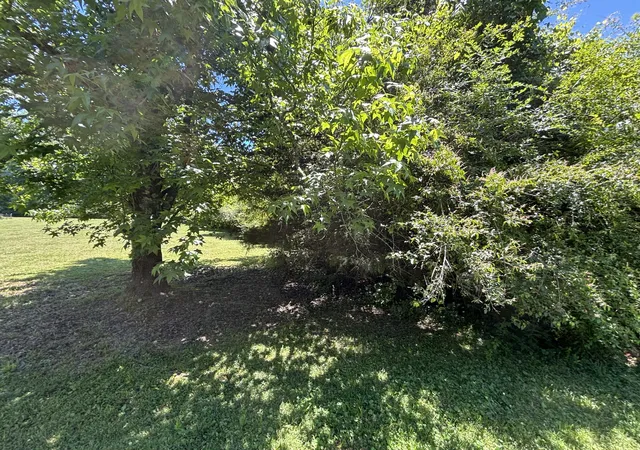 Homes for sale in New Hope, TN | 0 Lake View Dr, New Hope, TN 37380 | MLS# 1534931