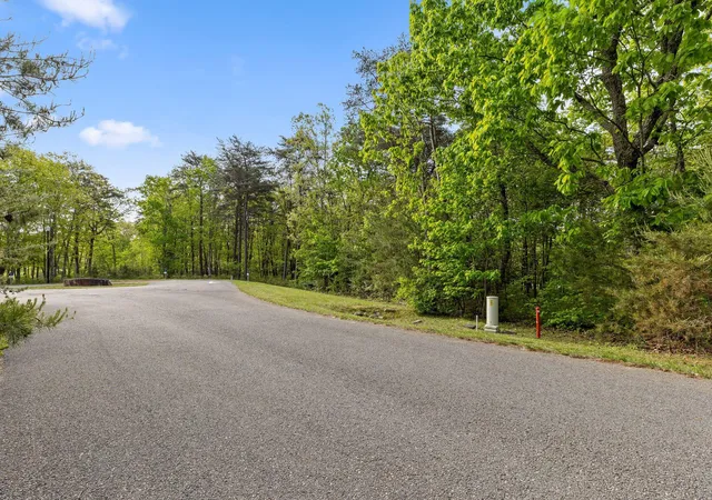 Homes for sale in Menlo, GA | 0 Old Rocky Trl #K-21, Menlo, GA 30731 | MLS# 1535009