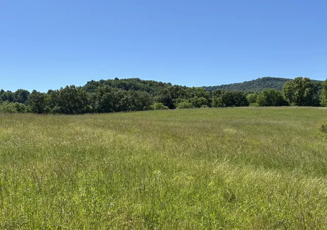 Homes for sale in South Pittsburg, TN | 11 Graham Home Pl Rd, South Pittsburg, TN 37380 | MLS# 1534935