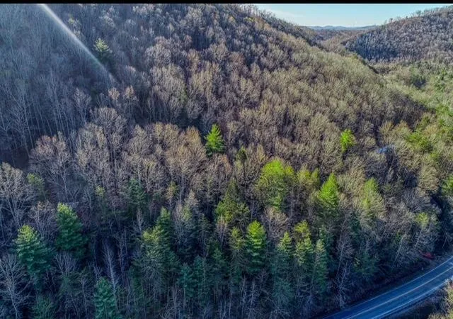 Photo 3 of Land for sale at 288 Frost Btm Rd, Oliver Springs, TN 37840 | MLS# 1535558 | Listing updated on 2026-05-29
