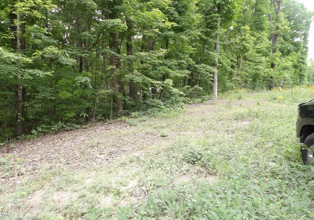 Homes for sale in Pikeville, TN | 0 Ridge Rd W, Pikeville, TN 37367 | MLS# 1535045