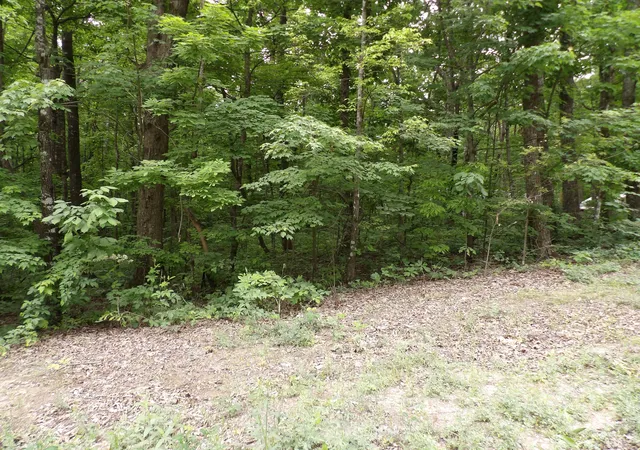 Homes for sale in Pikeville, TN | 0 Ridge Rd W, Pikeville, TN 37367 | MLS# 1535045