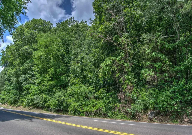 Homes for sale in Trenton, GA | 136 Ga 136, Trenton, GA 30752 | MLS# 1535488
