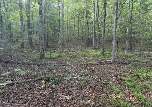 Homes for sale in Beersheba Springs, TN | 1672 Besstown Rd, Beersheba Springs, TN 37305 | MLS# 1535273