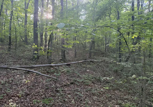 Homes for sale in Beersheba Springs, TN | 1672 Besstown Rd, Beersheba Springs, TN 37305 | MLS# 1535273