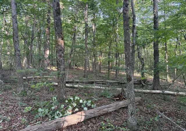 Homes for sale in Beersheba Springs, TN | 1672 Besstown Rd, Beersheba Springs, TN 37305 | MLS# 1535273