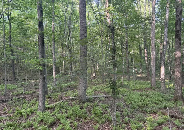 Homes for sale in Beersheba Springs, TN | 1672 Besstown Rd, Beersheba Springs, TN 37305 | MLS# 1535273