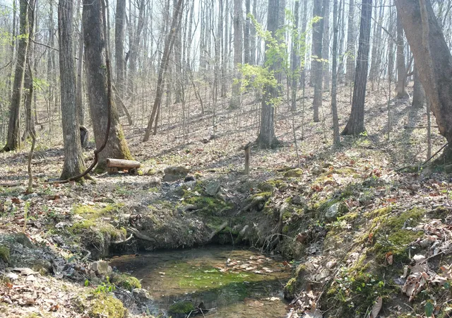 1st image of 3578 Wolf Creek Rd, Spring City, TN 37381 | MLS# 1535302