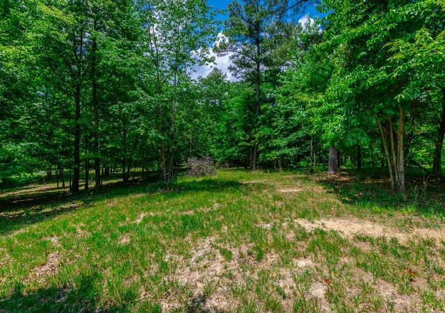 Photo 4 of Land for sale at 0 River Blfs Dr #143, Jasper, TN 37347 | MLS# 1535285 | Listing updated on 2026-08-22