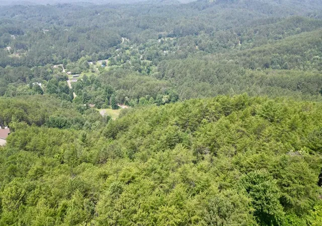 Homes for sale in Copperhill, TN | 0 Little Mountain Rd, Copperhill, TN 37317 | MLS# 1535372