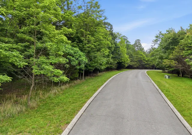 Homes for sale in Dunlap, TN | 0 Bluff View Dr #19a, Dunlap, TN 37327 | MLS# 1536277
