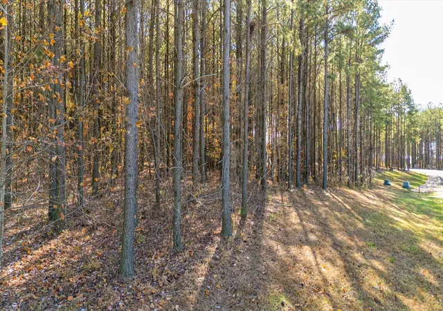 Photo 4 of Land for sale at 0 Raulston Fls #121, Jasper, TN 37347 | MLS# 1535484 | Listing updated on 2026-06-18