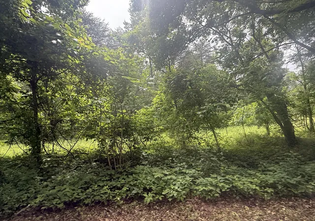 4th image of 000 Vander Ferguson Rd, Graysville, TN 37338 | MLS# 1535791