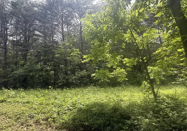 5th image of 000 Vander Ferguson Rd, Graysville, TN 37338 | MLS# 1535791