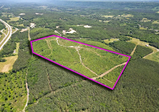 Homes for sale in Valley Head, AL | 74 Acs Bethel Road, Valley Head, AL 35989 | MLS# 1535944