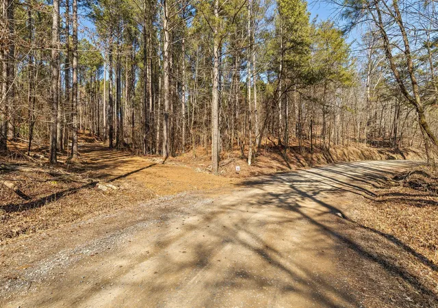 Homes for sale in Chatsworth, GA | Tr 4 B-2 Conniston Rd, Chatsworth, GA 30705 | MLS# 1535650